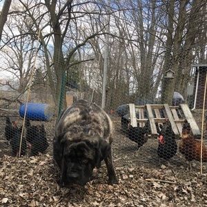 Meet your Posher, Ryan